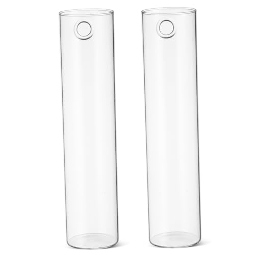 CLISPEED 2Stücke Wandvase Hängende Pflanzgefäße Für Transparente Anzuchtstationen Design Für Heimdekoration Für Innenräume Und Terrarien von CLISPEED