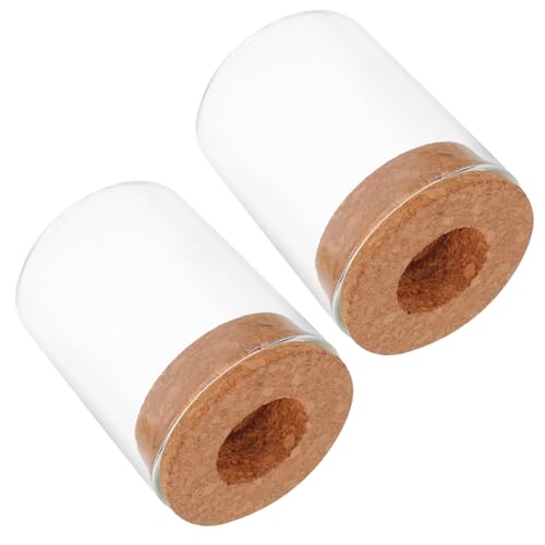 CLISPEED 2pcs Hydroponische Pflanze Vasen Transparente Glas -Terrarium -gläser Für Bürodekoration Mikrolandschaft Öko -Flaschen Hydroponik -Pflanzen Gläser Für Grünes Desktop -ausbreitung von CLISPEED