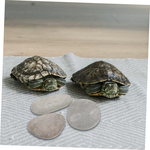 CLISPEED 3 Stück Teiliges Schildkröten Sonnenplatz aus Naturstein Stabile Plattform für Aquarium und Reptilienbecken Wetterfeste Klettersteine für Wasserschildkröten Zufällige Farbe CLISPEED 3 Stück Teiliges Schildkröten Sonnenplatz aus Naturstein Stabile Plattform für Aquarium und Reptilienbecken Wetterfeste Klettersteine für Wasserschildkröten Zufällige Farbe von CLISPEED
