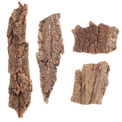 CLISPEED 4 Stück Kletterplattform-Dekoration Natürliche Rinde Geckos Futterstelle Für Reptilien Reptilienpanzerhintergrund Reptilienrindendekor Aus Baumrinde Für Terrarien Light Brown von CLISPEED