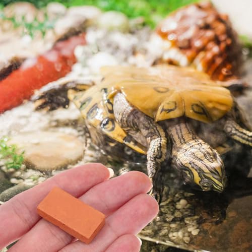 CLISPEED 40 Stück Teiliges Mini Ziegelset Realistische Fake Bricks für Micro Landschaftsbau Terrarien Miniatur Garten Dekoration DIY Bastelset für Puppenhaus und Schildkrötenbecken CLISPEED 40 Stück Teiliges Mini Ziegelset Realistische Fake Bricks für Micro Landschaftsbau Terrarien Miniatur Garten Dekoration DIY Bastelset für Puppenhaus und Schildkrötenbecken von CLISPEED