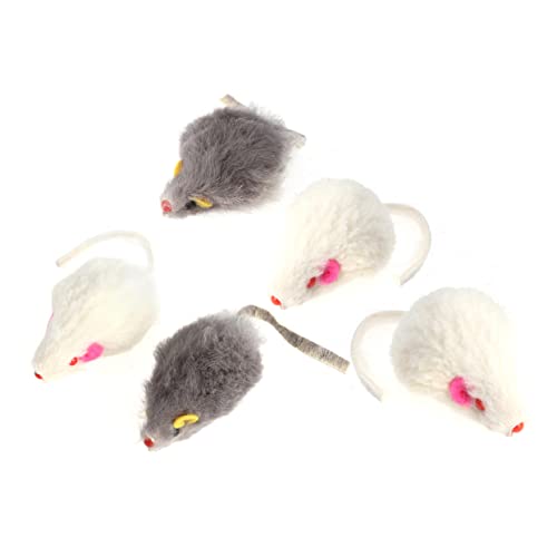 CLISPEED 5 Stück Lustiges Katzenspielzeug Zum Necken Von Katzen Bezauberndes Katzenspielzeug Pelziges Kätzchenzeug Kätzchenmäusespielzeug Katzentierspielzeug Haustierkätzchenbedarf von CLISPEED