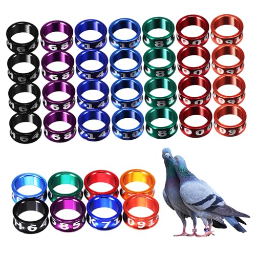 CLISPEED 50stücke Metall Vogel Beinringe Huhn Taube Papagei Fußring Brieftauben Zubehör CLISPEED 50stücke Metall Vogel Beinringe Huhn Taube Papagei Fußring Brieftauben Zubehör von CLISPEED