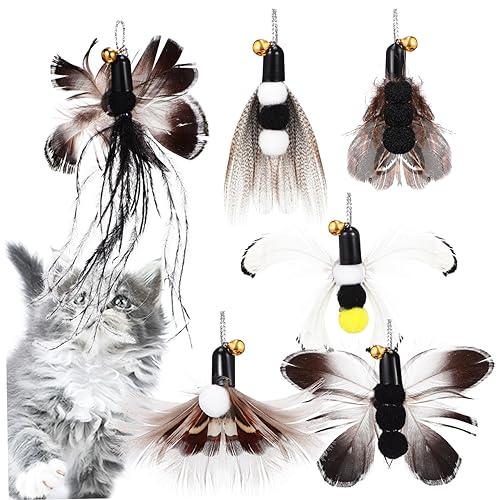 CLISPEED 6Stücke Katzenstab Aufsätze Interaktive Katzenspielzeuge Für Hauskatzen Ersatzspielzeug Für Katzenangeln Geräuschvolles Katzenspielzeug Mit Realistischer Insektenoptik CLISPEED 6Stücke Katzenstab Aufsätze Interaktive Katzenspielzeuge Für Hauskatzen Ersatzspielzeug Für Katzenangeln Geräuschvolles Katzenspielzeug Mit Realistischer Insektenoptik von CLISPEED