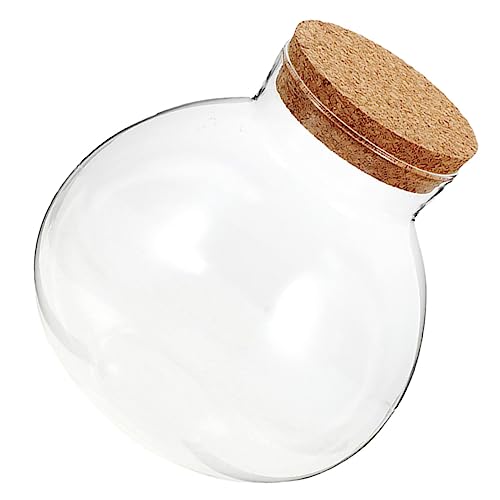 CLISPEED Eco-Flasche Moos Mikro-landschaftsflasche Landschaft Flasche Mini-glasflaschen Winziges Glas Glasflaschen Mit Deckel Minidosen Mit Deckel Jar -pflanzgefäße Klarer Glaspflanzer Kork von CLISPEED