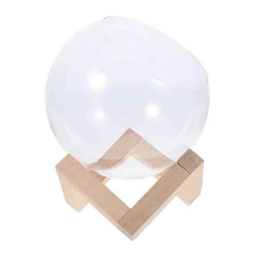 CLISPEED Glas Pflanzenterrarium mit Holzständer Schrägöffnung Propagationsvase für Sukkulenten Transparentes Glas Orb Pflanzer für Wohn Garten Dekoration Vielseitig Einsetzbar CLISPEED Glas Pflanzenterrarium mit Holzständer Schrägöffnung Propagationsvase für Sukkulenten Transparentes Glas Orb Pflanzer für Wohn Garten Dekoration Vielseitig Einsetzbar von CLISPEED