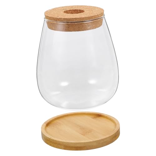 CLISPEED Glas Sukkulentenvase Behälter Für Blumenarrangements Transparenter Blumenhalter Pflanzgefäß Aus Glas Bücherregal-dekor Vase Für Tischdekorationen von CLISPEED