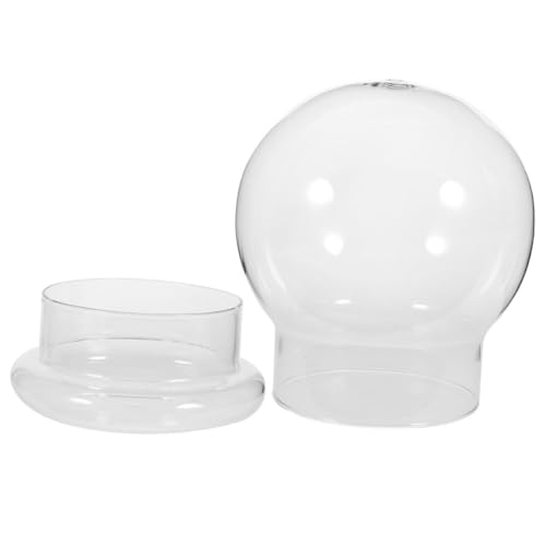 CLISPEED Glas Terrarium Pflanzendekoration Flasche mit Großem Klare Ökologische Moos Flasche DIY Landschafts vase für Wohnzimmer Schlafzimmer Büro Wiederverwendbar und Einfach zu Reinigen CLISPEED Glas Terrarium Pflanzendekoration Flasche mit Großem Klare Ökologische Moos Flasche DIY Landschafts vase für Wohnzimmer Schlafzimmer Büro Wiederverwendbar und Einfach zu Reinigen von CLISPEED