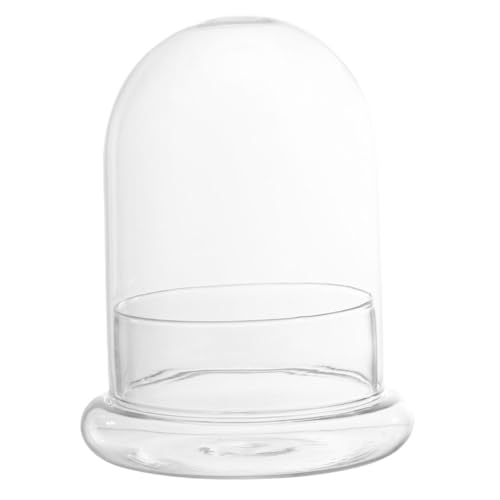 CLISPEED Glas Terrarium mit Großem Glasglockendom Dekoratives Ökosystem für DIY mikrolandschaften Pflanzenglasvase für Moos Blumen und Desktop deko Transparent Künstlerisches Design von CLISPEED