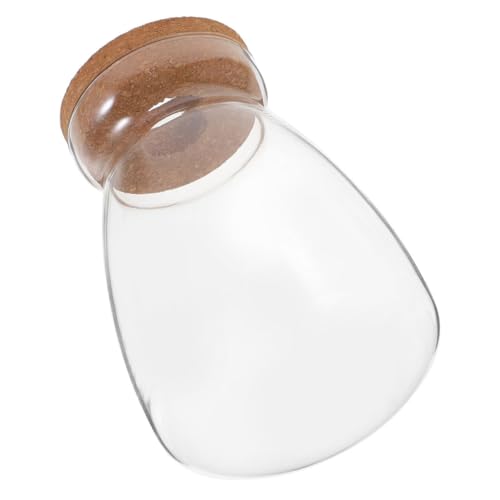 CLISPEED Glasflasche mit Korkverschluss Rundes Terrarium Glasgefäß für Sukkulenten Hydroponik Desktop Pflanzenvermehrung Dekovase für Zimmerpflanzen und Mikro landschaften CLISPEED Glasflasche mit Korkverschluss Rundes Terrarium Glasgefäß für Sukkulenten Hydroponik Desktop Pflanzenvermehrung Dekovase für Zimmerpflanzen und Mikro landschaften von CLISPEED