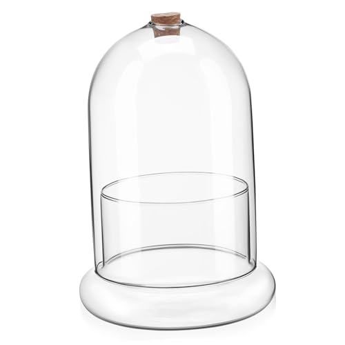 CLISPEED Glaskuppel Terrarium für Pflanzen Landschaftsvase mit Luftloch für Moos und Sukkulenten Stabiler Sockel Vielseitige Dekoration CLISPEED Glaskuppel Terrarium für Pflanzen Landschaftsvase mit Luftloch für Moos und Sukkulenten Stabiler Sockel Vielseitige Dekoration von CLISPEED