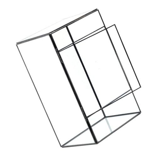 CLISPEED Glaspflanzen Terrarium für Sukkulenten und Luftpflanzen Transparenter DIY Behälter für Mikrolandschaften für Wohnzimmer und Schlafzimmer Platzsparend CLISPEED Glaspflanzen Terrarium für Sukkulenten und Luftpflanzen Transparenter DIY Behälter für Mikrolandschaften für Wohnzimmer und Schlafzimmer Platzsparend von CLISPEED