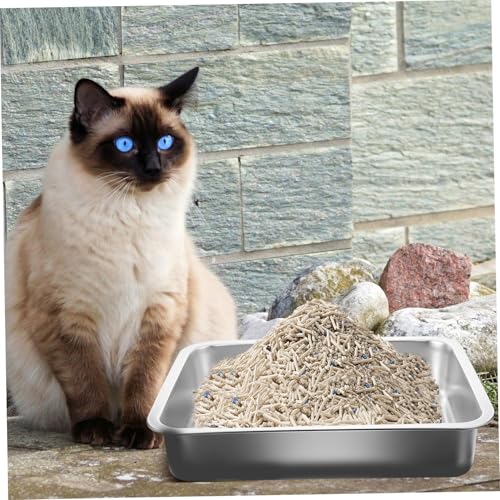 CLISPEED Große Stabile Katzentoilette aus Edelstahl mit glatter Oberfläche Offenes Katzenklo Langlebiges Katzenstreu-wc für Katzen und Kätzchen Haushalt und Tierbedarf von CLISPEED