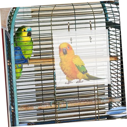 CLISPEED Hängendes Vogelbad für Käfige Transparenter Parrot Bath Tub aus Acryl Kleines Vogelbad für Wellensittiche Papageien und Kleine Vögel Einfach zu Montieren Leicht zu Reinigen CLISPEED Hängendes Vogelbad für Käfige Transparenter Parrot Bath Tub aus Acryl Kleines Vogelbad für Wellensittiche Papageien und Kleine Vögel Einfach zu Montieren Leicht zu Reinigen von CLISPEED
