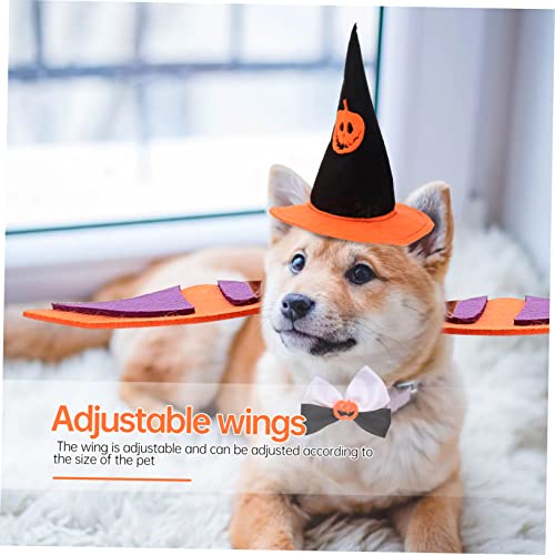 CLISPEED Halloween Haustier Kostüm Verstellbares Hundehalsband mit Fledermausflügeln Orangefarbener Kürbishut und Niedlicher Fliege Dekorativer Festhut für Hunde für Halloween Party und CLISPEED Halloween Haustier Kostüm Verstellbares Hundehalsband mit Fledermausflügeln Orangefarbener Kürbishut und Niedlicher Fliege Dekorativer Festhut für Hunde für Halloween Party und von CLISPEED