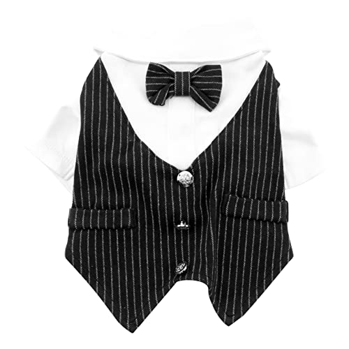 CLISPEED Hundekleidung Für Haustiere Gestreiftes Hundesuit Aus Polyester Gentleman Kostüm Für Party Outfit XXL CLISPEED Hundekleidung Für Haustiere Gestreiftes Hundesuit Aus Polyester Gentleman Kostüm Für Party Outfit XXL von CLISPEED