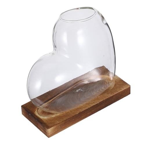 CLISPEED Hydroponische Pflanzenstation für Stilvolle Dekoration und Wohnräumen für Pflanzenvermehrung Terrarium CLISPEED Hydroponische Pflanzenstation für Stilvolle Dekoration und Wohnräumen für Pflanzenvermehrung Terrarium von CLISPEED