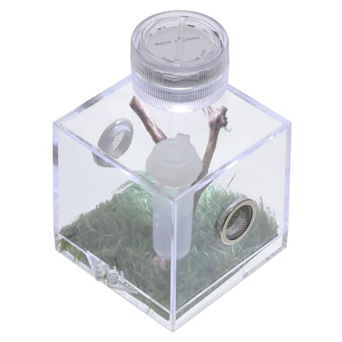 CLISPEED Jumping Spider Habitat Box mit Lampe Kompakte Zuchtbox für Spinnen Insekten und Kleine Reptilien Atmungsaktiv und Tragbar für Aufzucht und Fütterung Teilig CLISPEED Jumping Spider Habitat Box mit Lampe Kompakte Zuchtbox für Spinnen Insekten und Kleine Reptilien Atmungsaktiv und Tragbar für Aufzucht und Fütterung Teilig von CLISPEED