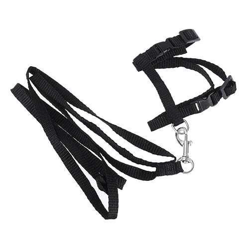 CLISPEED Katzengeschirr Mit Leine Für Katzen Verstellbares Nylon Katzengeschirr Sicheres Haustierzubehör Für Outdoor Aktivitäten von CLISPEED
