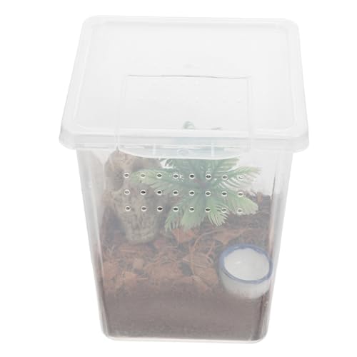 CLISPEED Kleines Spinnengehege Terrarium mit Ausbruchsschutz Transparentes Insekten Habitat Einfache Sicherer Kunststoff Zuchtkasten für Springspinnen und Kleine Haustiere von CLISPEED
