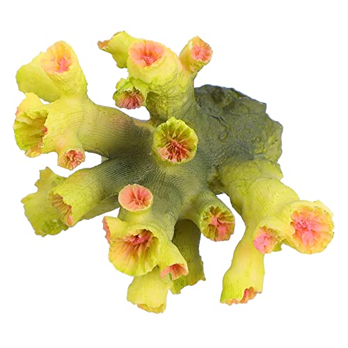 CLISPEED Korallen Dekoration Für Aquarium Simulation Korallen Ornament Aus Harz Aquarium Landschaft Dekor Fisch Tank Ornament Lichtecht Und Wiederverwendbar CLISPEED Korallen Dekoration Für Aquarium Simulation Korallen Ornament Aus Harz Aquarium Landschaft Dekor Fisch Tank Ornament Lichtecht Und Wiederverwendbar von CLISPEED