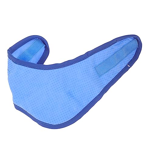 CLISPEED Kühl- und Atmungsschalel Haustier Kühlendes Bandana für Hunde Welpe Kühlbandana für Hunde züchten hundezubehör Dog Accessories hundekragen Dog Collars Sommer Hundehalstuch Blue von CLISPEED