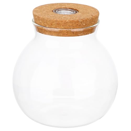 CLISPEED LED Glasflasche mit LED Licht Zylindrische Ökologische Microlandschafts Vase Transparente DIY Flaschengarten Dekoration Klare Sicht Vielseitig für Pflanzen und Aquarien Geeignet von CLISPEED