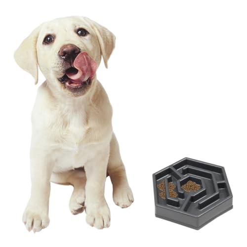 CLISPEED Langsamer Futternapf für Haustiere Petal förmige Futterschale aus Verschleißfestem Resin rutschfest mit Anti rutsch Pads Sicher für Kleine Hunde und Katzen Graue Schüssel für von CLISPEED