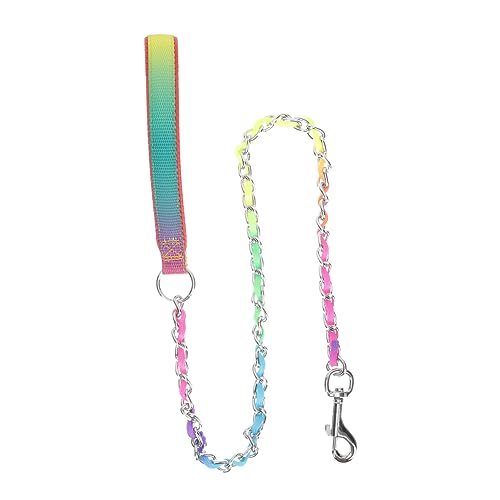 CLISPEED Laufkette Leine Hund Haustier kaubar Kontrolle Schnauze Dog Lead Dog Accessories Tierzubehör Dog Collars Bissfeste Welpenleine Professionelle Welpenleine Laufende Welpenleine Nylon von CLISPEED