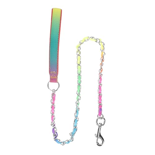 CLISPEED Laufkette Leine Hundeauto kleine Hunde Leinen für Hunde Hundebett Hundehalsband mittel Welpe hundegurt hundelaufband Hundegeschirr Kettenleine bissfeste Hundeleine Rostfreier Stahl von CLISPEED