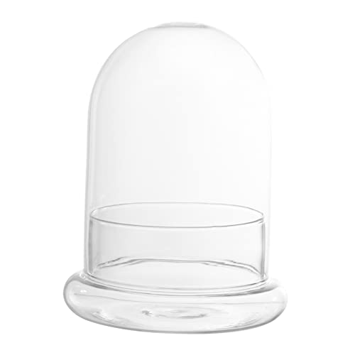 CLISPEED Micro Landschaft Flasche mit Klarem Glasdom und Sockel DIY Ökosystem Flaschengarten für Pflanzen Dekoration für Wohnzimmer Büro Schlafzimmer und Schreibtischgestaltung CLISPEED Micro Landschaft Flasche mit Klarem Glasdom und Sockel DIY Ökosystem Flaschengarten für Pflanzen Dekoration für Wohnzimmer Büro Schlafzimmer und Schreibtischgestaltung von CLISPEED