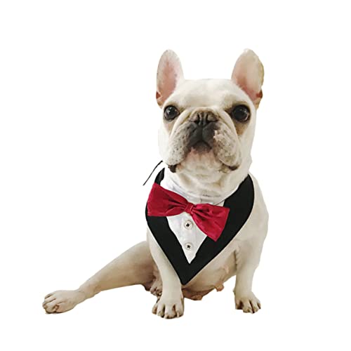 CLISPEED Modisches Haustier Schürze Mit Bowknot Kreatives Für Katzen Haustierzubehör Für Besondere Anlässe Und Partys CLISPEED Modisches Haustier Schürze Mit Bowknot Kreatives Für Katzen Haustierzubehör Für Besondere Anlässe Und Partys von CLISPEED
