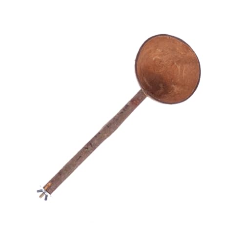 CLISPEED Natürliche Kokosnussschale Vogel Futternapf mit Standstab Robustes Papagei Futter und Spielschale für Wellensittiche und Käfigvögel Attraktives Design CLISPEED Natürliche Kokosnussschale Vogel Futternapf mit Standstab Robustes Papagei Futter und Spielschale für Wellensittiche und Käfigvögel Attraktives Design von CLISPEED