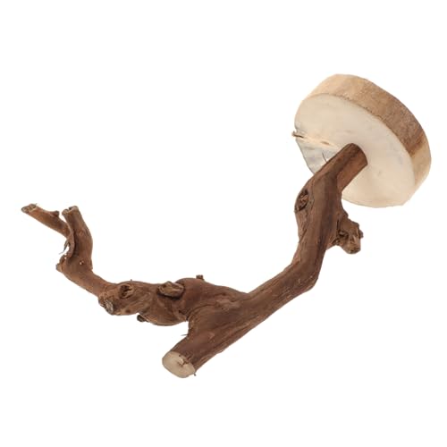 CLISPEED Papagei Trainingsständer aus Holz Vogel Stand mit Stabiler Basis Vielseitig Einsetzbar für Papageien und Heimvögel Langlebig und Sicher CLISPEED Papagei Trainingsständer aus Holz Vogel Stand mit Stabiler Basis Vielseitig Einsetzbar für Papageien und Heimvögel Langlebig und Sicher von CLISPEED