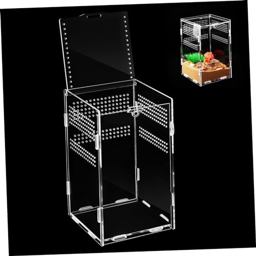 CLISPEED Reptilien Futterbox Transparentes Terrarium aus Strapazierfähigem Leicht und Kompakt für Taranteln Springspinnen Eidechsen und Andere Reptilien von CLISPEED
