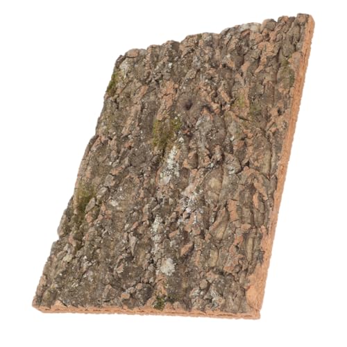 CLISPEED Rinde-Hintergrundtafel für Schildkrötenbecken Vivarium drinnen bellen Unterstützung Eidechsentank Hintergrund Reptilienpanzerhintergrund Reptilien-Kork-Hintergrund Korkplatte CLISPEED Rinde-Hintergrundtafel für Schildkrötenbecken Vivarium drinnen bellen Unterstützung Eidechsentank Hintergrund Reptilienpanzerhintergrund Reptilien-Kork-Hintergrund Korkplatte von CLISPEED