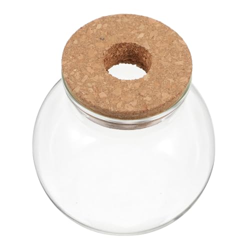 CLISPEED Rundes Glas Terrarium mit Korkdeckel Vielseitiges Hydroponik gefäß für Pflanzen Dekorative Glasvase für Fischschale und Mikrolandschaften Transparente Glas Dekoration für Zuhause CLISPEED Rundes Glas Terrarium mit Korkdeckel Vielseitiges Hydroponik gefäß für Pflanzen Dekorative Glasvase für Fischschale und Mikrolandschaften Transparente Glas Dekoration für Zuhause von CLISPEED