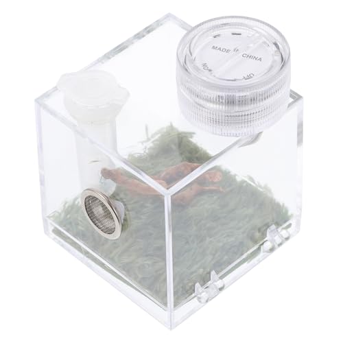 CLISPEED Spider Habitat Box für Jumping Spiders mit Integrierter Lampe Kompakte Tragbare Insektenaufzuchtbox mit Guter Luftzirkulation und Feuchtigkeitskontrolle für Pflege Kleiner CLISPEED Spider Habitat Box für Jumping Spiders mit Integrierter Lampe Kompakte Tragbare Insektenaufzuchtbox mit Guter Luftzirkulation und Feuchtigkeitskontrolle für Pflege Kleiner von CLISPEED