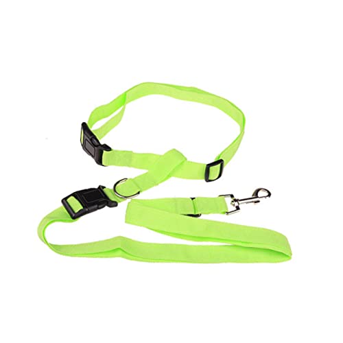 CLISPEED Taillenhundeleine zum Laufen Hunde-Bungee Hundeseil abschließbarer Hund Ausbildung für Hunde Hund führt hundegurt hundelaufband Taille Hundespaziergang Taille Hundeleine Green von CLISPEED