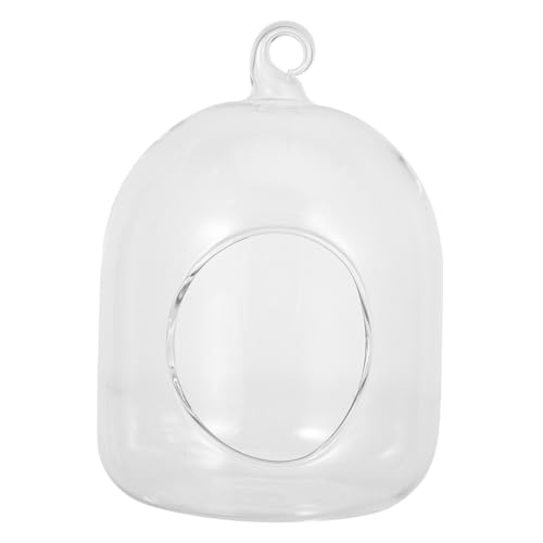 CLISPEED Terrarium Pflegeleichter Moos Mikrolandschafts Deko Glasbehälter Platzsparend für Büro und Zuhause Vielseitiger DIY Pflanzentopf Langlebig und Stilvoll CLISPEED Terrarium Pflegeleichter Moos Mikrolandschafts Deko Glasbehälter Platzsparend für Büro und Zuhause Vielseitiger DIY Pflanzentopf Langlebig und Stilvoll von CLISPEED