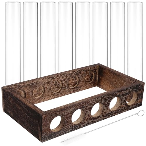 CLISPEED Tischterrarium Mit Holzständer Reagenzgläsern Und Reinigungsbürste Blumenvase Für Pflanzenstation Für Deko von CLISPEED