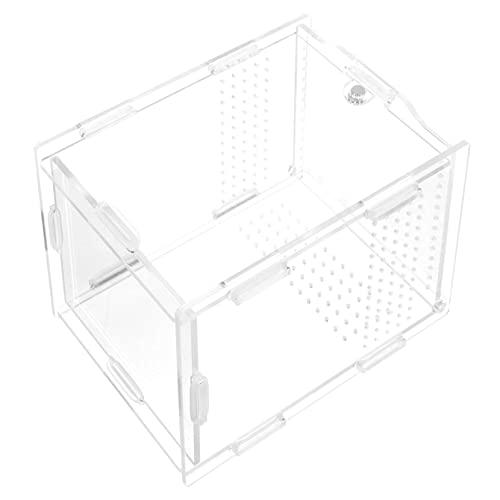 CLISPEED Transparente Reptilien Fütterungsbox Zusammenbaubar Leichter Terrarienbehälter für Schlangen Geckos Spinnen Schnecken und Einfach zu Reinigen und Beobachten von CLISPEED