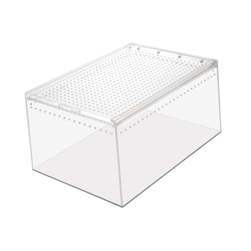 CLISPEED Transparente Reptilienbox Wasserdichtes Belüftetes Multifunktions Terrarium für Schlangen Spinnen Skorpione Geckos Lurche und Krustentiere Ausbruchsicher Wetterbeständig und CLISPEED Transparente Reptilienbox Wasserdichtes Belüftetes Multifunktions Terrarium für Schlangen Spinnen Skorpione Geckos Lurche und Krustentiere Ausbruchsicher Wetterbeständig und von CLISPEED