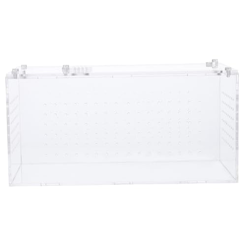 CLISPEED Transparente Reptilienbox aus Leicht und Tragbar Geräumiges Multifunktions Futter und Terrarium für Schlangen Geckos als Reptilienzubehör und CLISPEED Transparente Reptilienbox aus Leicht und Tragbar Geräumiges Multifunktions Futter und Terrarium für Schlangen Geckos als Reptilienzubehör und von CLISPEED