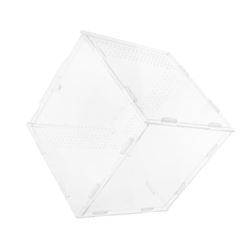 CLISPEED Transparente Reptilienzuchtbox Leichtes Belüftetes Terrarium für Kriechtiere und Insekten Tragbar und Umweltfreundlich als Fütterungs und Transportbehälter CLISPEED Transparente Reptilienzuchtbox Leichtes Belüftetes Terrarium für Kriechtiere und Insekten Tragbar und Umweltfreundlich als Fütterungs und Transportbehälter von CLISPEED
