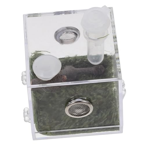 CLISPEED Transparente Zuchtbox Für Spinnen Lebensraumkäfig Für Insekten Und Reptilien Futterbox Und Terrarium Für Kleine Für Pflege Und Haltung Von Spinnen von CLISPEED