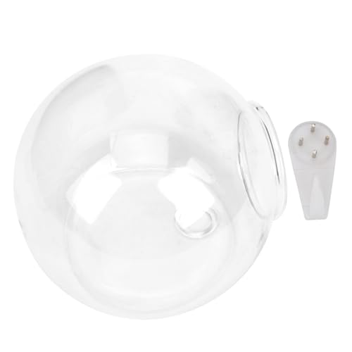 CLISPEED Transparentes Glas Blumenhalter Hängevase Dekoration Für Wohnzimmer Schlafzimmer Badezimmer Mit Dekorativen Vasenfüllern Moos von CLISPEED