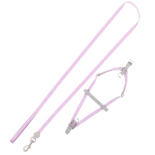 CLISPEED Verstellbares Hundegeschirr Set für Kleine Hunde und Welpen mit Leichtem Atmungsaktivem Design und Doppelt D Ringen Inklusive Farbigem Modischem für Sichere Spaziergänge CLISPEED Verstellbares Hundegeschirr Set für Kleine Hunde und Welpen mit Leichtem Atmungsaktivem Design und Doppelt D Ringen Inklusive Farbigem Modischem für Sichere Spaziergänge von CLISPEED