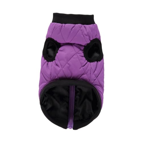 CLISPEED Winter Hundemantel Welpenmantel Warm Atmungsaktiv für Kalte Tage Hochwertige Langlebige Materialien Komfortabel und Hautfreundlich für Drinnen und Draußen Pflegeleicht von CLISPEED