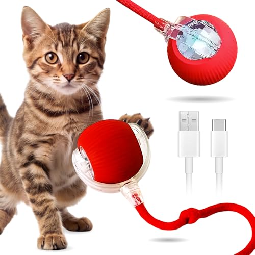 CLOVERSS® Elektrischer Katzenball, interaktives Spielzeug für Katzen, automatisches elektrisches Spielzeug für Katzen, Spielzeug für Katzen, wiederaufladbar über USB, Katzenspielzeug, Spielzeug für von CLOVERSS